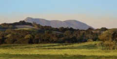 St. Helena, Last Light, Russian River Valley