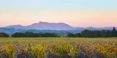 St. Helena Sunset, October, Dry Creek Valley