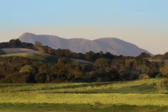 St. Helena, Last Light, Russian River Valley