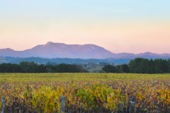 St. Helena Sunset, October, Dry Creek Valley